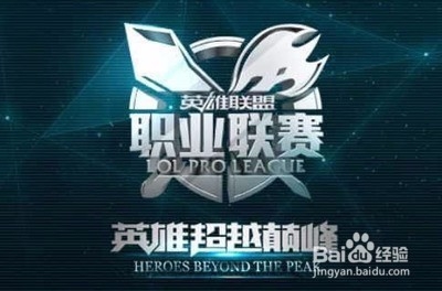 对策与未来