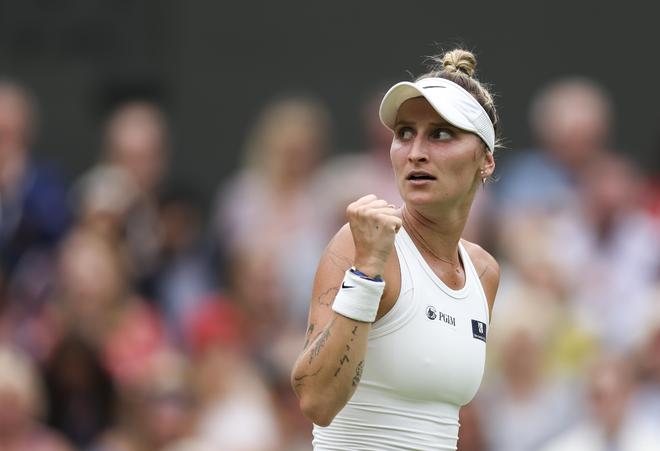 的标题和分 的标题和分