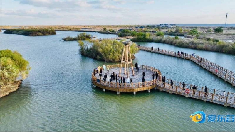 过去因赌博 过去因赌博