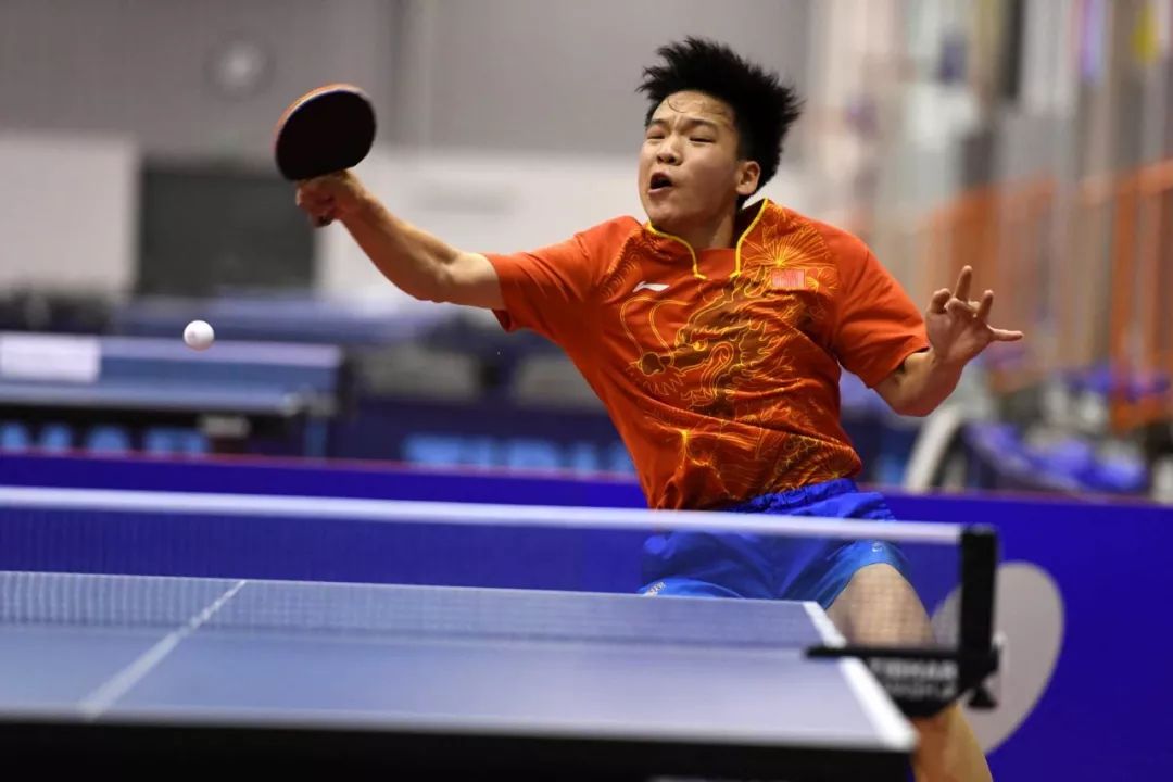 这些球迷都 这些球迷都