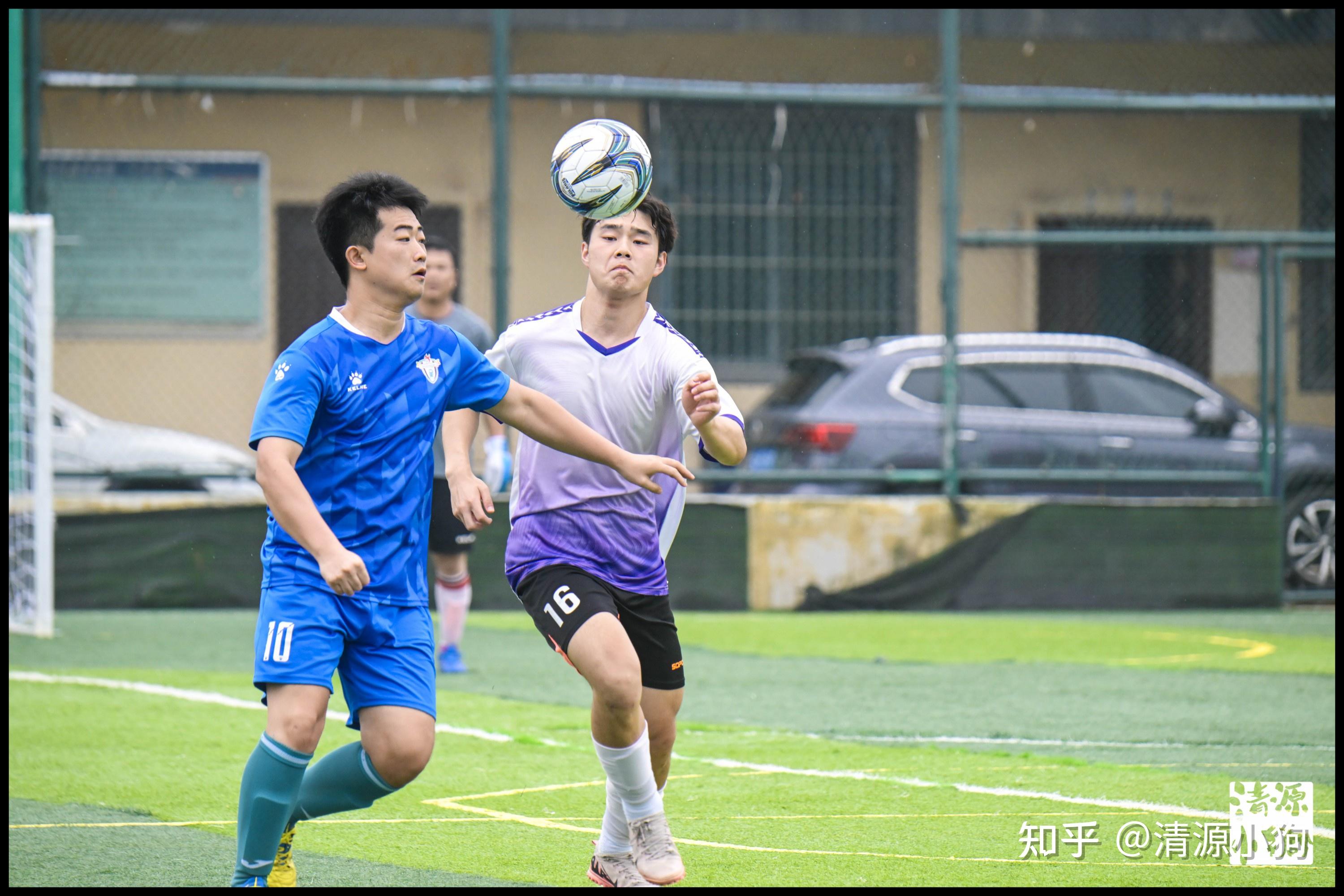 赞助商给予 赞助商给予